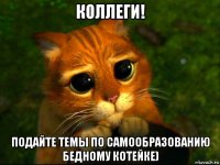 коллеги! подайте темы по самообразованию бедному котейке)