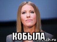  кобыла