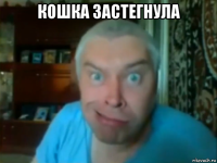 кошка застегнула 