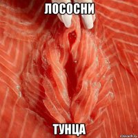 лососни тунца