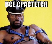 всё срастётся 