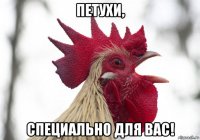 петухи, специально для вас!