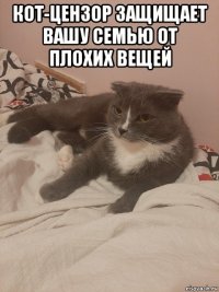 кот-цензор защищает вашу семью от плохих вещей 