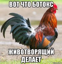 вот что ботокс животворящий делает