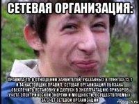 сетевая организация: правила тп: в отношении заявителей, указанных в пунктах 12.1 и 14 настоящих правил, сетевая организация обязана обеспечить установку и допуск в эксплуатацию приборов учета электрической энергии и мощности, осуществляемых за счет сетевой организации