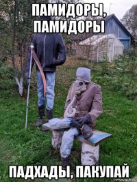 памидоры, памидоры падхады, пакупай