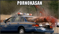 pornokasan 