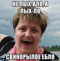 не пых-ало, а пых-ло свинорылое ебло