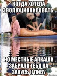 когда хотела эволюционировать, но местные алкаши забрали тебя на закусь к пиву