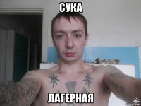 сука лагерная