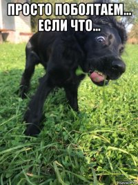 просто поболтаем... если что... 