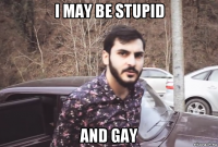i may be stupid and gay