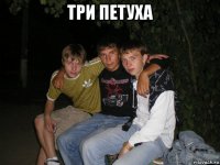 три петуха 