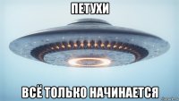 петухи всё только начинается