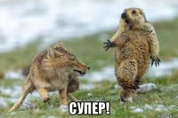  супер!