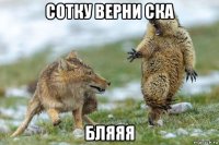 сотку верни ска бляяя