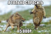 я только спросить 5 000р