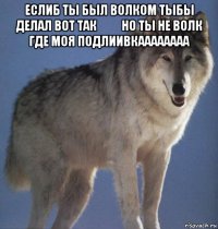 еслиб ты был волком тыбы делал вот так ☝️ но ты не волк где моя подлиивкаааааааа 