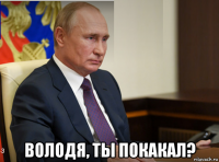  володя, ты покакал?
