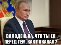  володенька, что ты ел перед тем, как покакал?