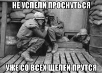 не успели проснуться уже со всех щелей прутся
