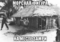 морская фигура на месте замри