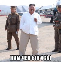  ким чен ын усы
