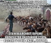 блять да тут в начале видео реально как будто толпа петухов админов вывалилась с лестницы, ахахахаха блять, ахах это и объясняет, почему количество дизлайков столь высоко у этого видео, аххаххха