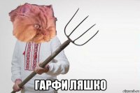  гарфи ляшко