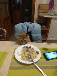 Создать мем Чё за на хуй