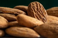 Создать мем Дикорастущий горный миндаль