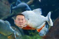 Создать мем Khaltmaagiin Battulga piranha