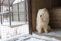 Создать мем КВанфиш СМуви Ритм Жизни