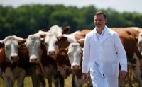 Создать мем Ляшко и коровы