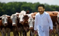 Создать мем Норов Алтанхуяг с коровами