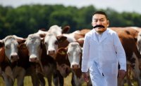  screw cow farming, Мем Злой Халтмаагийн Баттулга и коровы