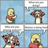 What are you doing? Why are you playing wolcen? Wolcen is being fixed