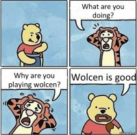 What are you doing? Why are you playing wolcen? Wolcen is good