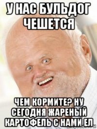 у нас бульдог чешется чем кормите? ну сегодня жареный картофель с нами ел
