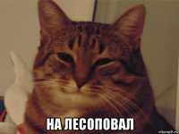  на лесоповал