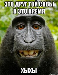 это друг той совы в это время хыхы