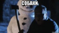 собаки 