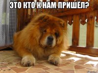 это кто к нам пришёл? 
