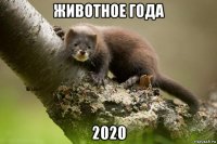 животное года 2020