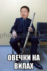  овечки на вилах