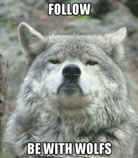 follow be with wolfs