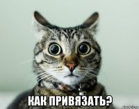  как привязать?