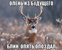 олень из будущего блин, опять опоздал