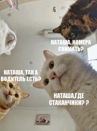  Наташа, номера снимать? Наташа, так а водитель есть? Наташа,где стаканчики? ?