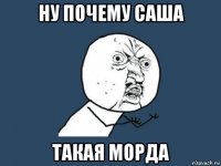 ну почему саша такая морда